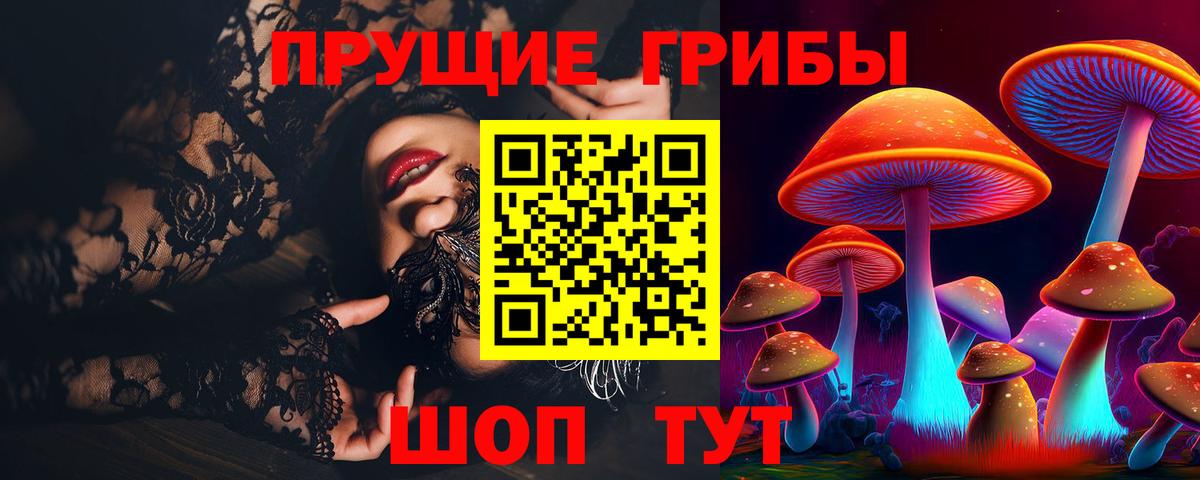 Псилоцибиновые грибы Psilocybine cubensis Алушта