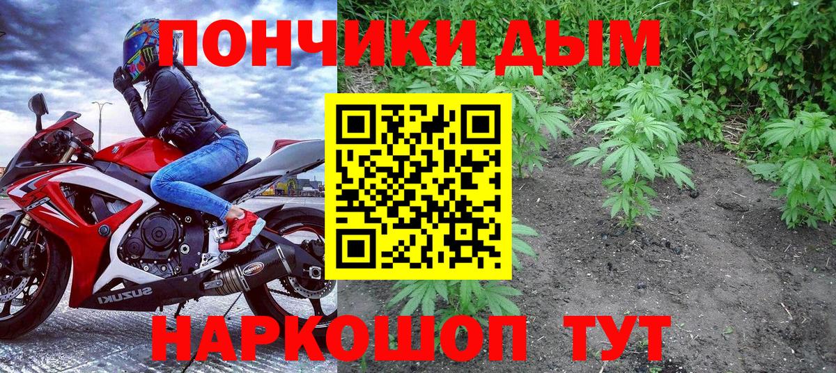 Шишки марихуана семена Алушта